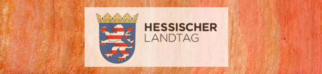 hessischer Landtag Mentoringprogramm verhandlungsführung